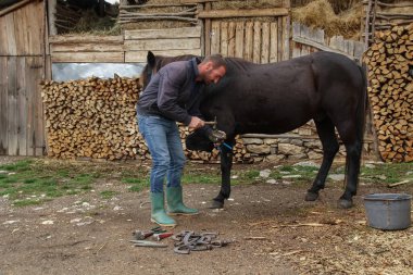 Usta kıskaç uzatılmış tırnağı çıkarır. Bir nalbant, hayvana at nalı yapmadan önce onu temizlemek için at ayağı üzerinde çalışır.
