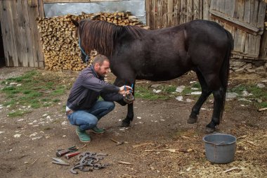 Usta kıskaç uzatılmış tırnağı çıkarır. Bir nalbant, hayvana at nalı yapmadan önce onu temizlemek için at ayağı üzerinde çalışır.