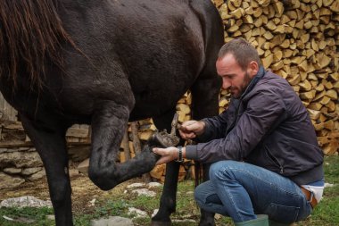 Usta kıskaç uzatılmış tırnağı çıkarır. Bir nalbant, hayvana at nalı yapmadan önce onu temizlemek için at ayağı üzerinde çalışır.