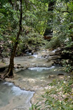 Şelale dağı nehri. Dağ nehrinin deresi