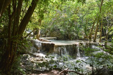 Şelale dağı nehri. Dağ nehrinin deresi