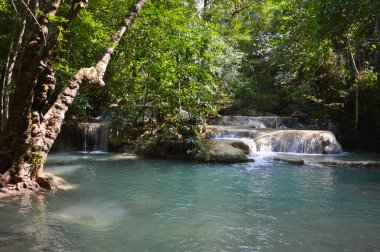 Şelale dağı nehri. Dağ nehrinin deresi
