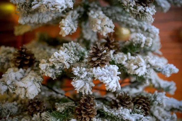 コーンを吊るす雪のクリスマスツリーを閉じます 枝に松ぼっくり 雪の上のモミの枝 — ストック写真
