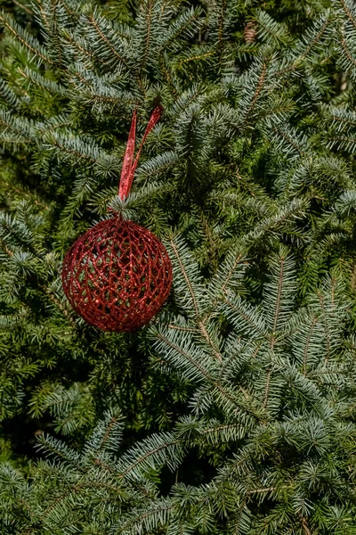 Ένα Φυσικό Χριστουγεννιάτικο Δέντρο Στολίδια Και Στολίδια Όμορφο Χριστουγεννιάτικο Δέντρο — Φωτογραφία Αρχείου