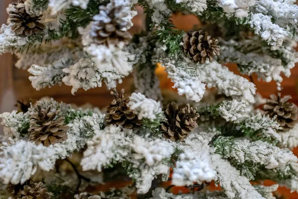 Feche Uma Árvore Natal Com Neve Qual Pendem Cones Cones — Fotografia de Stock