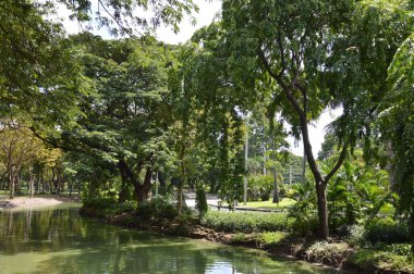 Çeşitli çiçek, ağaç ve göl türleriyle dolu botanik bahçesi.