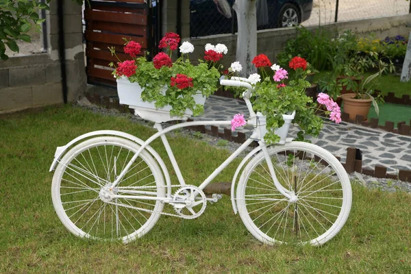 Weiße Fahrradgartendekoration Pelargonien Töpfen Auf Einem Weißen Fahrrad Pelargonien Topf — Stockfoto