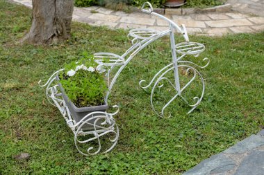 Beyaz dekoratif bisikletle yazlık kır çiçekleri, kopyalama alanı. Çiçek açan sanat kompozisyonu. Seçici odak