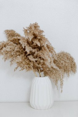 Beyaz seramik vazodaki çimler duvara karşı. Bir buket kurumuş çiçek. Asgari konsept