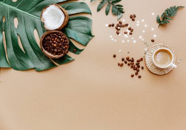 Kahverengi kahve fincanı olan sosyal medya için şık bir blog yazarı. Hindistan cevizi ve kahve çekirdekleri, doğal ürünler, sıfır atık. Düz yat, boşluğu kopyala 