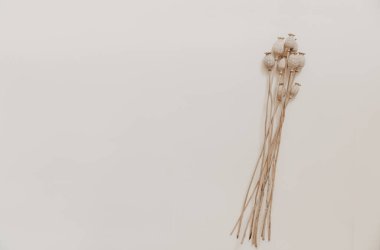 Bej arka planda doğal kurumuş çiçek. Kurumuş çiçek aranjmanı ve kopyalama alanı ile en düşük bohem düzlemde yatıyordu. Organik tasarım. Pastel renkler.