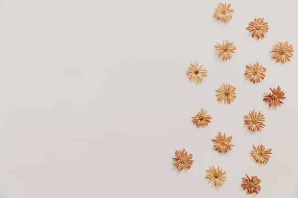 Натуральні Літні Квіти Бежевому Фоні Гарний Візерунок Нейтральними Кольорами Мінімальна — стокове фото