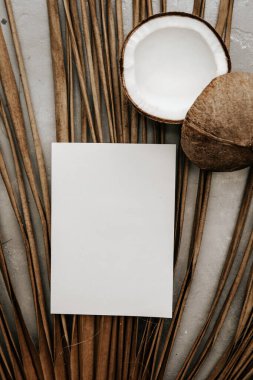 Hindistan cevizi, kuru palmiye yaprakları ve tarafsız arkaplanda boş bir kart. Asgari karamsar kırtasiye hala hayat dolu. Boho taklit et.