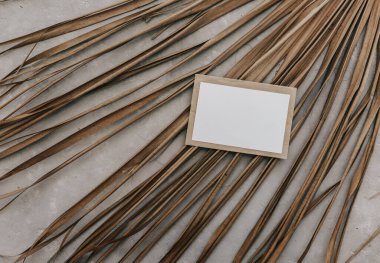 Minimum tropikal model, beyaz beyaz kart ve arka planda palmiye yaprakları. Metin için boş yeri olan çerçeve. Hayat, yaz konsepti