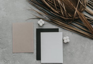 Kuru tropikal palmiye yaprakları, hindistan cevizi ve boş kartın yaratıcı düz görünümü. Metnin veya tasarımın için asgari tropik palmiye yaprağı bitkileri yaz şablonu