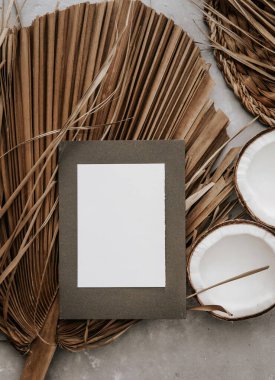 Kuru tropikal palmiye yaprakları, hindistan cevizi ve boş kartın yaratıcı düz görünümü. Metnin veya tasarımın için asgari tropik palmiye yaprağı bitkileri yaz şablonu