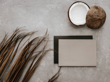 Hindistan cevizi, kuru palmiye yaprakları ve tarafsız arkaplanda boş bir kart. Asgari karamsar kırtasiye hala hayat dolu. Boho taklit et.