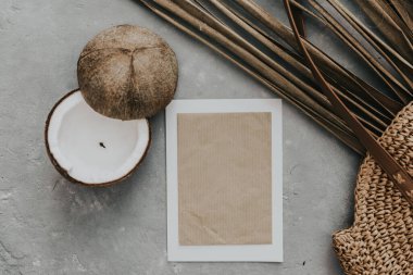 Yaratıcı düz üst görünüm, kuru tropikal palmiye yapraklarını taklit eder. Hindistan cevizleri boş kağıt. Minimum tropikal palmiye yaprağı bitkileri yaz konsepti şablonu