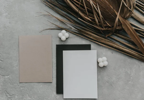 Kuru tropikal palmiye yaprakları, hindistan cevizi ve boş kartın yaratıcı düz görünümü. Metnin veya tasarımın için asgari tropik palmiye yaprağı bitkileri yaz şablonu