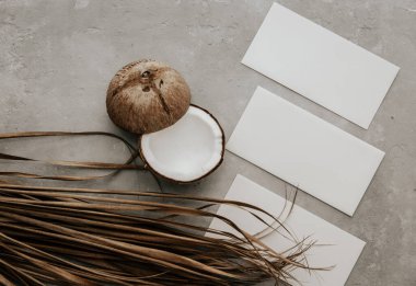 Hindistan cevizi, kuru palmiye yaprakları ve tarafsız arkaplanda boş bir kart. Asgari karamsar kırtasiye hala hayat dolu. Boho taklit et.