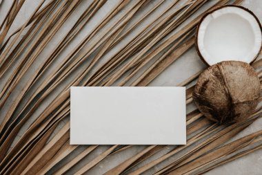 Yaz kırtasiyesi, boş kağıt kartı, taze hindistan cevizi ve taştan arkaplanda kuru palmiye yaprakları. En düşük boho Model daveti. 