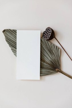 Minimal Summer kırtasiyesi hala hayat sahnesi. Boş bir kart ve bej renksiz arka planda tropikal palmiye yaprağı kullan. Boş tebrik kartı, düğün davetiyesi sahnesi. 
