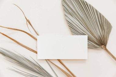 Minimal Summer kırtasiyesi hala hayat sahnesi. Boş bir kart ve bej renksiz arka planda tropikal palmiye yaprağı kullan. Boş tebrik kartı, düğün davetiyesi sahnesi. 