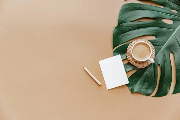 Basit Bir Moda Ofis Masası Kahve Fincanı Canavar Yaprağı Boş — Stok fotoğraf