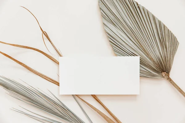 Minimal Summer kırtasiyesi hala hayat sahnesi. Boş bir kart ve bej renksiz arka planda tropikal palmiye yaprağı kullan. Boş tebrik kartı, düğün davetiyesi sahnesi. 