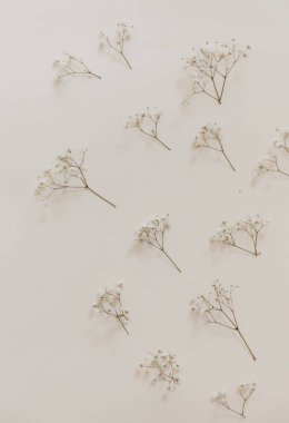 Bej arka planda doğal kurumuş çiçek. Kurumuş çiçek aranjmanı ve kopyalama alanı ile en düşük bohem düzlemde yatıyordu. Organik tasarım. Pastel renkler.