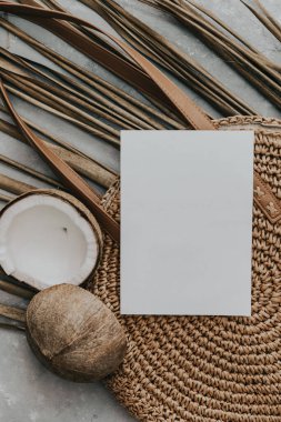 Yaratıcı yaz modellemesi. Tarafsız arka planda kurutulmuş palmiye yaprakları ve hindistan cevizi. Hayat asgari konsept. Düz konum, üst görünüm, kopyalama alanı, kare