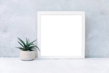 Boş model, boşluk ve bitkiler, boş masalı poster ve davetiye, kart dekorasyonu tasarım veya markalaşma, basitlik ve asgari düzeyde, hiç kimse.