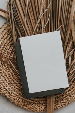 Yaratıcı yaz modellemesi. Tarafsız arka planda kurutulmuş palmiye yaprakları ve hindistan cevizi. Hayat asgari konsept. Düz konum, üst görünüm, kopyalama alanı, kare