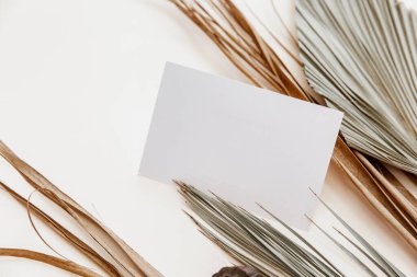 Minimal Summer kırtasiyesi hala hayat sahnesi. Bej nötr arka planda boş bir kartla modelle. Boş tebrik kartı, düğün davetiyesi sahnesi. 