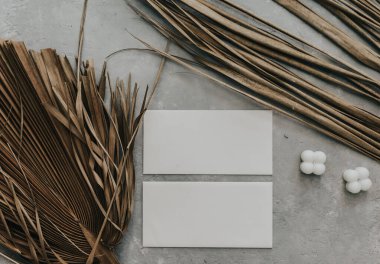 Kuru tropikal palmiye yaprakları, hindistan cevizi ve boş kartın yaratıcı düz görünümü. Metnin veya tasarımın için asgari tropik palmiye yaprağı bitkileri yaz şablonu