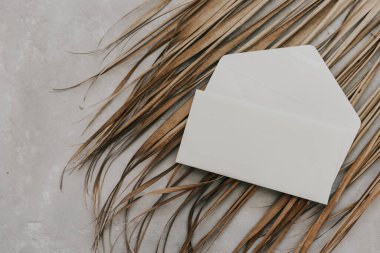 Minimum tropikal model, beyaz beyaz kart ve arka planda palmiye yaprakları. Metin için boş yeri olan çerçeve. Hayat, yaz konsepti