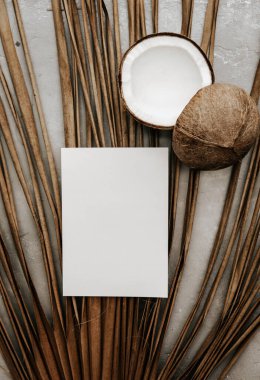 Hindistan cevizi, kuru palmiye yaprakları ve tarafsız arkaplanda boş bir kart. Asgari karamsar kırtasiye hala hayat dolu. Boho taklit et.