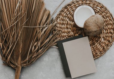 Yaratıcı yaz modellemesi. Tarafsız arka planda kurutulmuş palmiye yaprakları ve hindistan cevizi. Hayat asgari konsept. Düz konum, üst görünüm, kopyalama alanı, kare