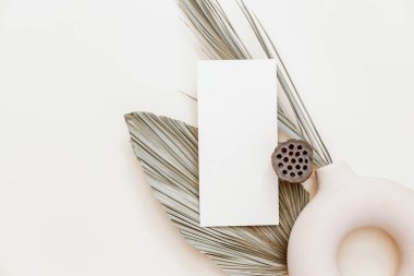 Minimal Summer kırtasiyesi hala hayat sahnesi. Boş bir kart ve bej renksiz arka planda tropikal palmiye yaprağı kullan. Boş tebrik kartı, düğün davetiyesi sahnesi. 