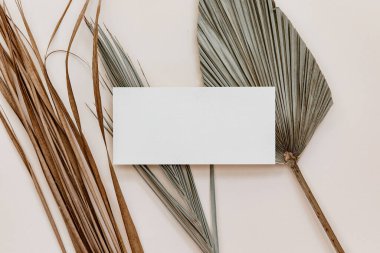 Minimal Summer kırtasiyesi hala hayat sahnesi. Bej nötr arka planda boş bir kartla modelle. Boş tebrik kartı, düğün davetiyesi sahnesi. 