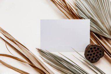 Boş tebrik kartı modeli, bej masa arkasında kuru palmiye yaprağı. İskandinav tarzında bir düğün şablonu. Durgun bir hayat.