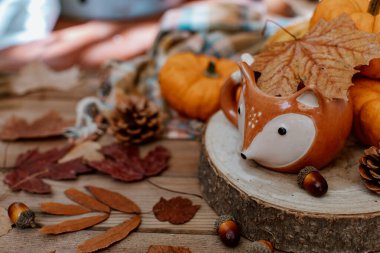 Balkabaklarından, çay fincanından ve kuru yapraklardan oluşan sonbahar yaratıcı kompozisyonu. Sonbahar, sonbahar, Cadılar Bayramı konsepti. Sezon arkaplanı