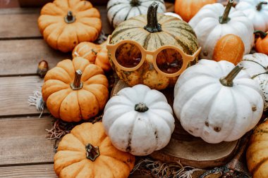 Renkli balkabaklarıyla sonbahar arkaplanı. Sonbahar, Cadılar Bayramı ve Şükran Günü konsepti. 