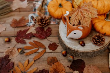 Balkabaklarından, çay fincanından ve kuru yapraklardan oluşan sonbahar yaratıcı kompozisyonu. Sonbahar, sonbahar, Cadılar Bayramı konsepti. Sezon arkaplanı