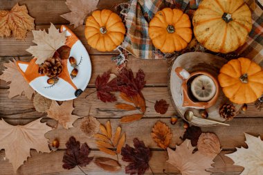 Balkabaklarından, çay fincanından ve kuru yapraklardan oluşan sonbahar yaratıcı kompozisyonu. Sonbahar, sonbahar, Cadılar Bayramı konsepti. Sezon arkaplanı
