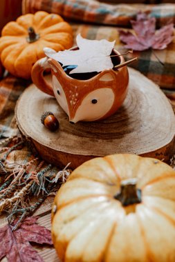 Süslü, rahat balkabaklı, sonbahar yapraklı kahve fincanı. Merhaba sonbahar, durgun hayat, sonbahar, Mutlu Şükran Günleri. Sonbahar bileşimi