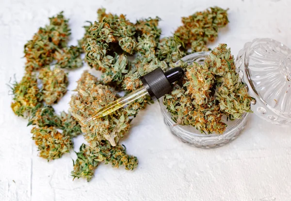 Marijuana Buds Oil Pills Cbd Recreation Fresh Cannabis Leaf Close — Stock Photo, Image