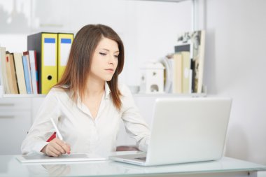 Bilgisayar ve kullanılan grafik tablet üzerinde çalışan fotoğraf editörü