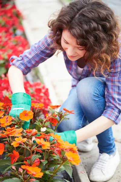 Bella giovane donna giardinaggio — Foto Stock