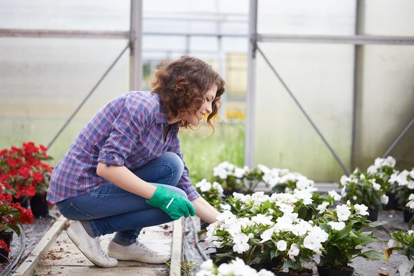 Bella giovane donna giardinaggio — Foto Stock